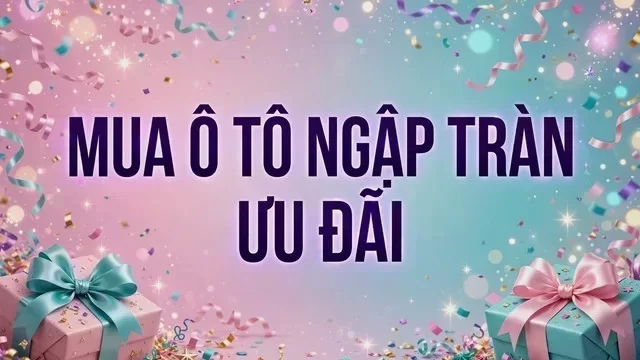 Địa điểm hỗ trợ xem xe tại Ninh Thuận